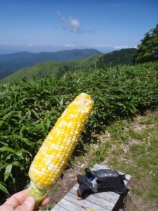 長野県阿南町にある信州新野千石平という道の駅で手に入れた特産のトウモロコシを頂上で食べ、水分補給。生で食べても甘い！