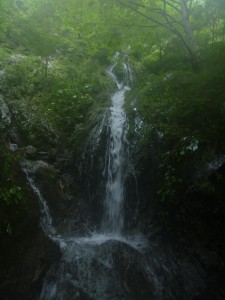 水流の多いこちらが本流だと思い込み、６０ｍ登ったが岩壁に突き当たった滝